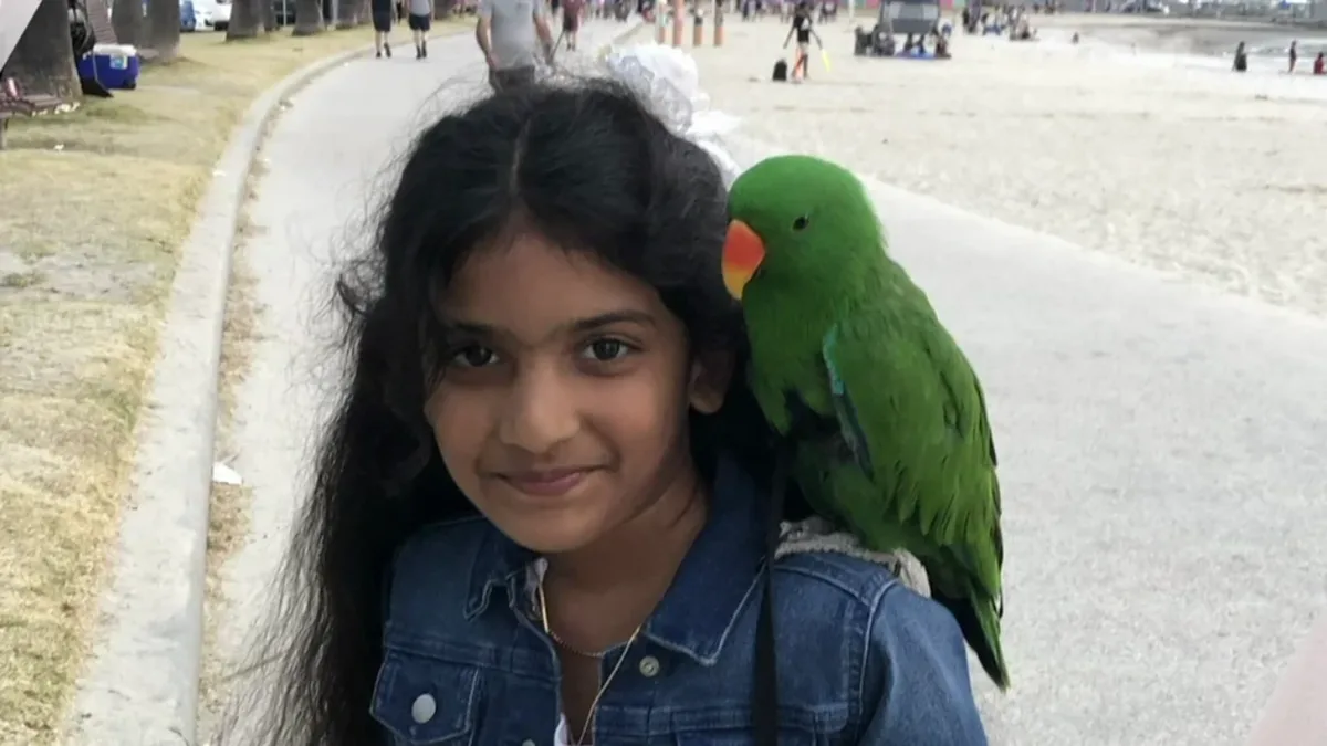 8-year-old Indian-origin girl dies of myocarditis after doctors missed warning signs; Australian coroner finds death preventable