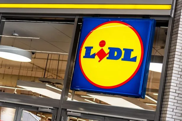 'Add light to gardens for 8 hours' with new £6 Lidl ornament similar to £30 B&Q