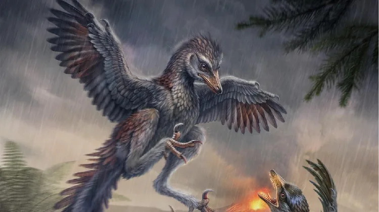 This Jurassic bird skipped flight school