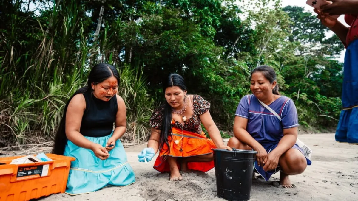 Meet the 'Turtle Women' of Amazon: 7 Indigenous women are bringing vulnerable river turtles back
