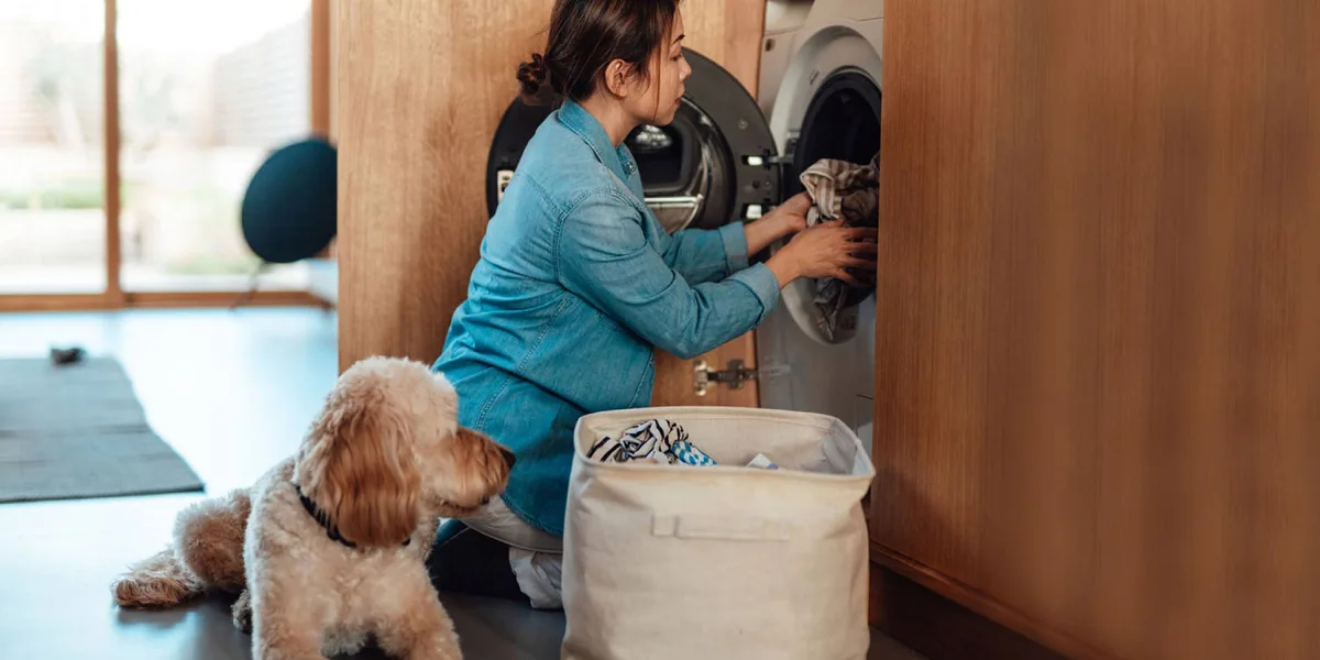 Do you actually need pet laundry detergent to clean your dog’s things?