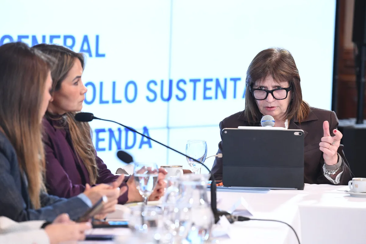 Bullrich impulsa una reforma de la Ley Nacional de Salud Mental y negocia apoyos en el Senado: cuáles son los principales cambios
