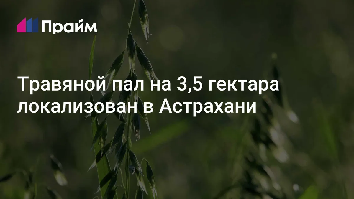 Травяной пал на 3,5 гектара локализован в Астрахани