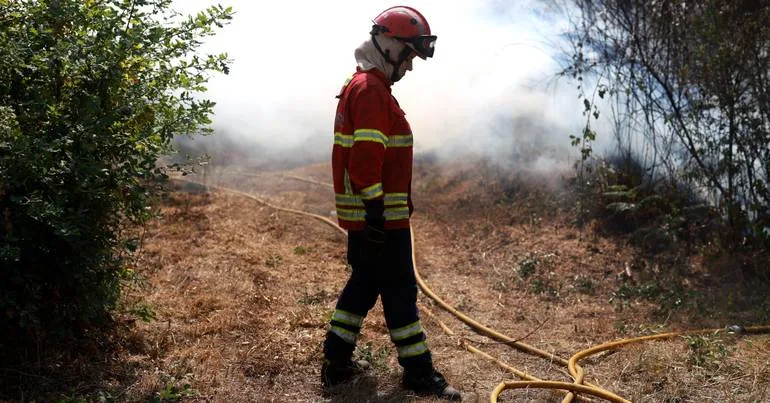 Mais de 200 operacionais combatem fogo em Abrantes