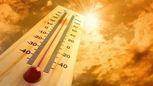 Climate crisis needs capable councillors