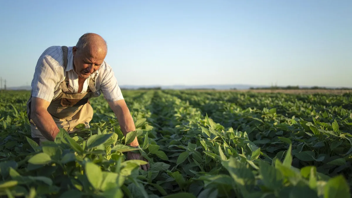 En vigor: una finca agrícola en España puede cambiar su consideración legal si lleva 20 años sin uso agrícola