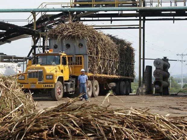 Productores piden frenar importación de azúcar refinada ante la acumulación de inventarios nacionales