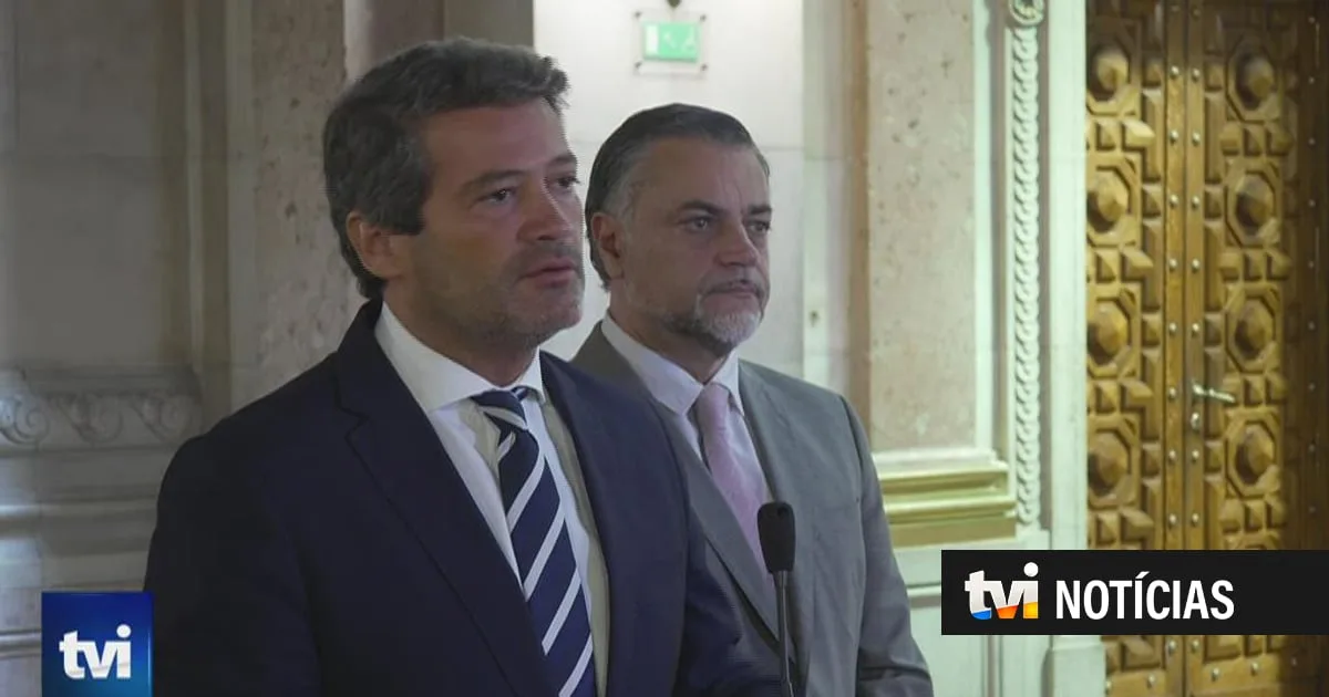 Chega força inquérito a Luís Neves mas admite "limitar mais o objeto" da CPI