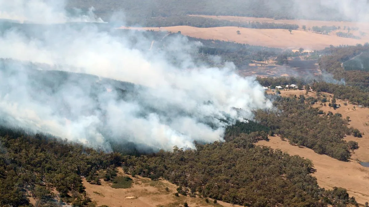 Greater Sydney to experience ‘extreme’ bushfire conditions as windspeed and temperatures soar