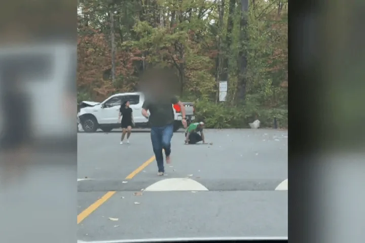 B.C. driver helps save man from knife-wielding suspect in Surrey park