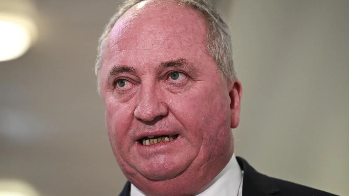 Barnaby Joyce’s PALM worker claim fuels confusion over One Nation target