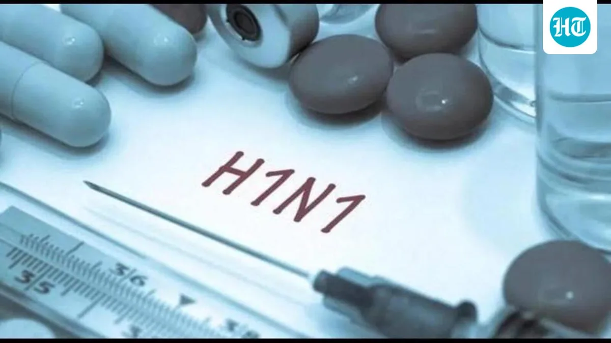 No new H1N1 strain in circulation, current vaccines effective: ICMR officials