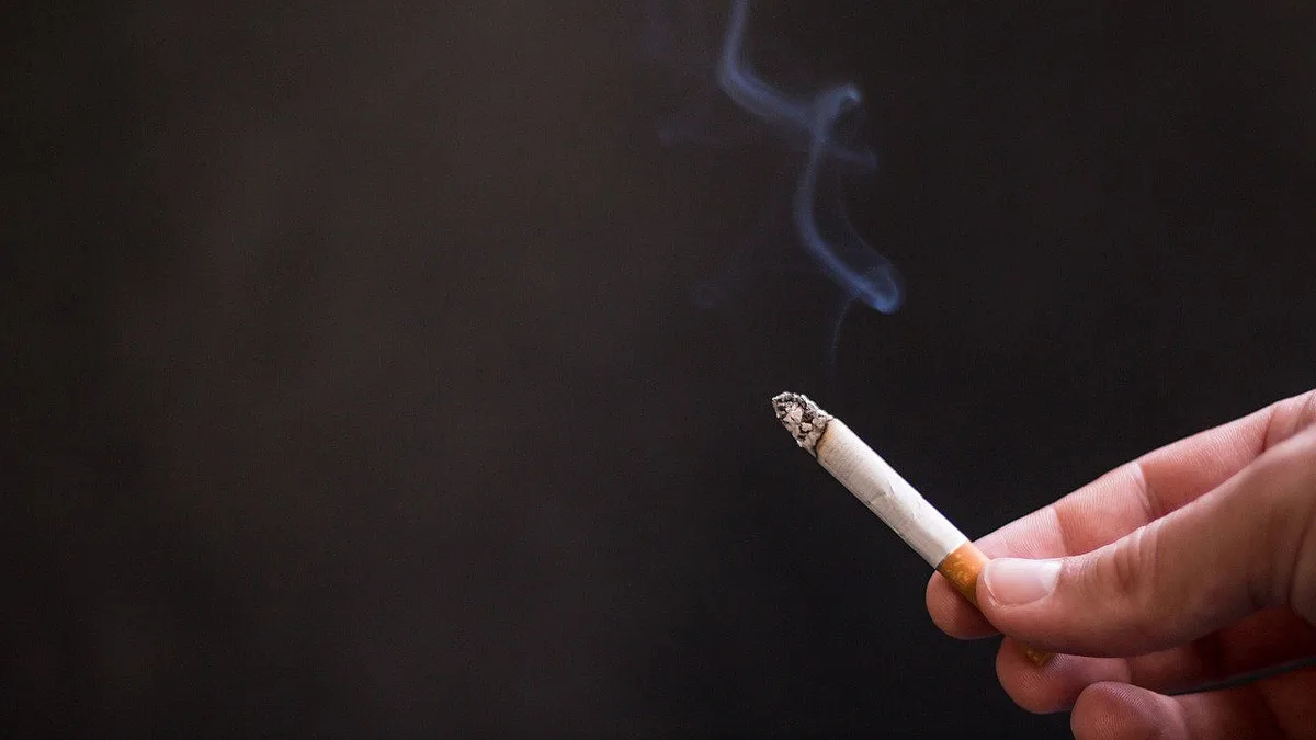 Impostos sobre cigarros podem subir 139% na UE e chegar também aos vapes