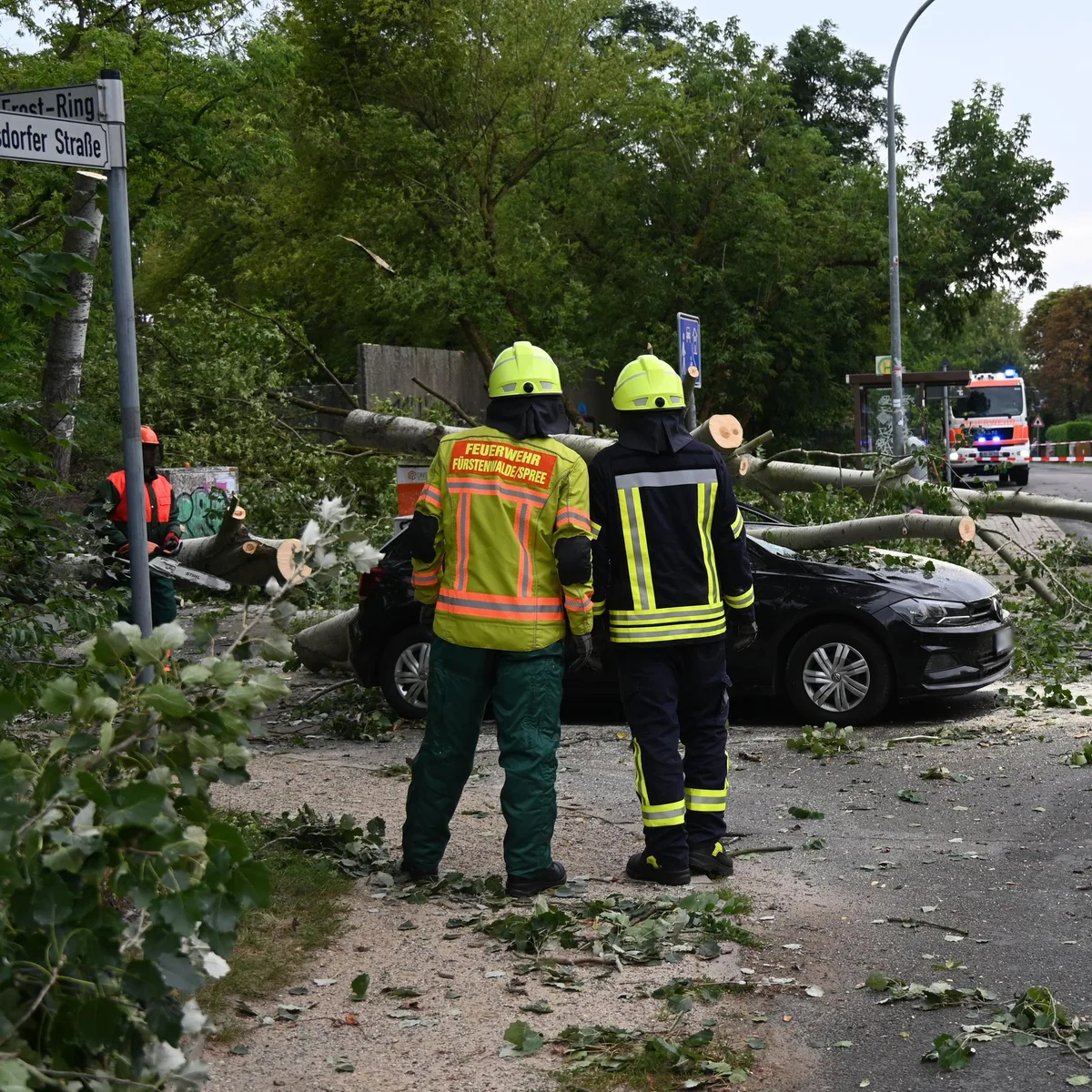 Unwetter - Frau wird in Rheinland-Pfalz von herabstürzendem Baum erschlagen - Tornado in Brandenburg