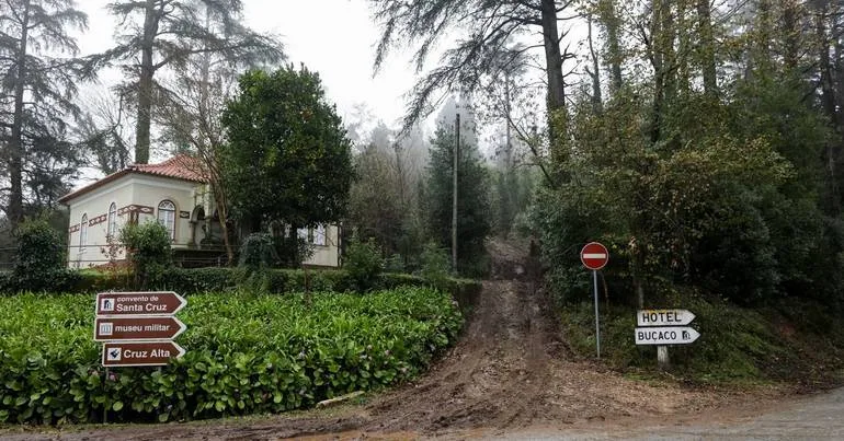 PhorestAll: Bussaco lidera estudo sobre florestas e saúde