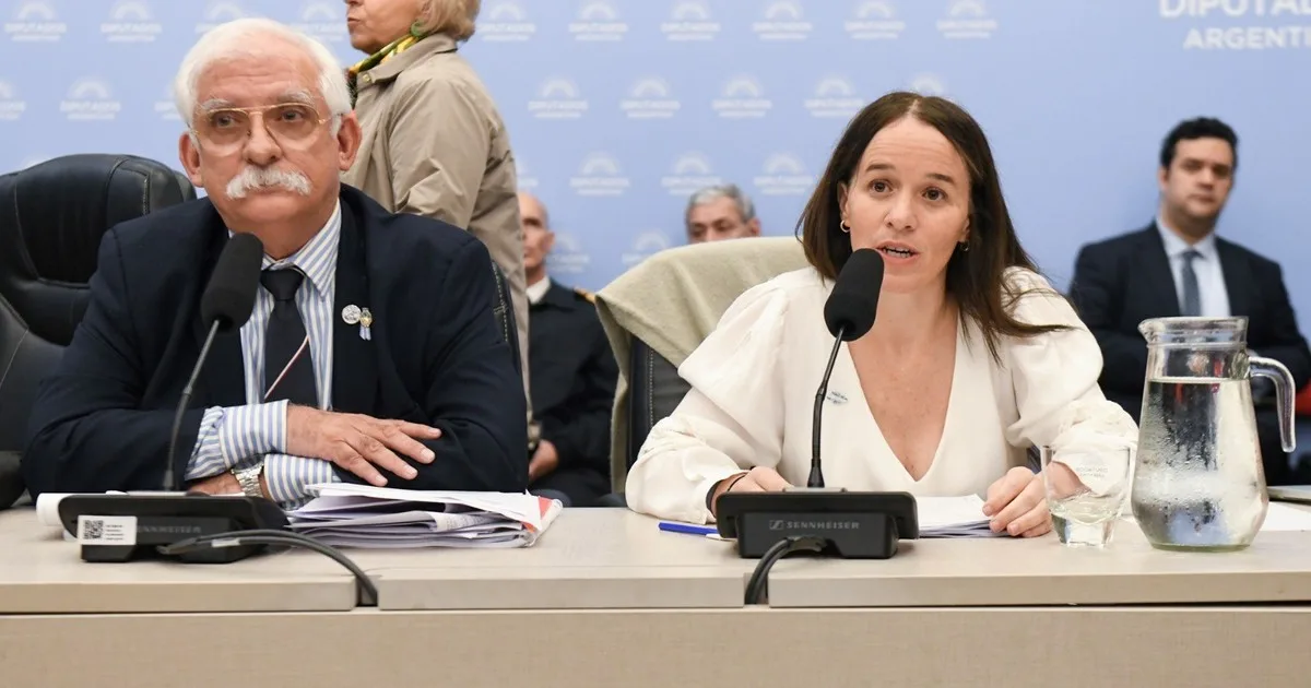 El oficialismo desactiva la sesión opositora por el DNU 70 pero se dilata el proyecto Malvinas