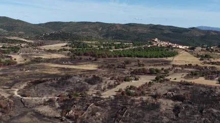 "Faciliter l'intervention des sapeurs-pompiers" : des ceintures vertes pour se protéger des incendies
