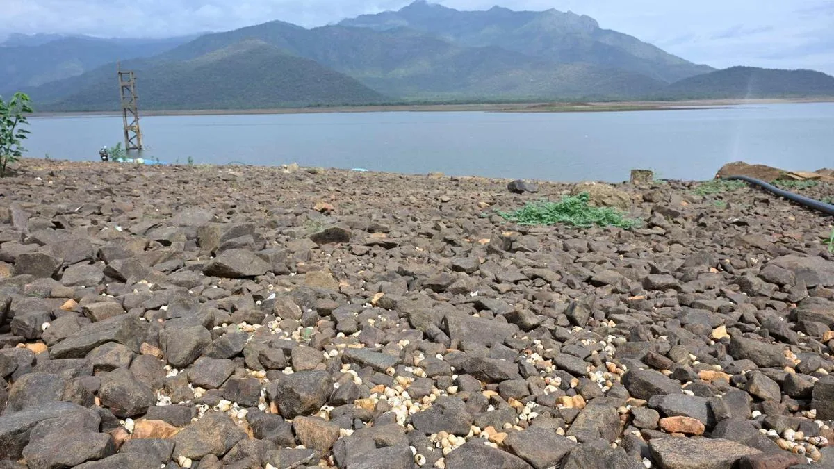 Poor storage in Bhavanisagar dam worries LBP farmers