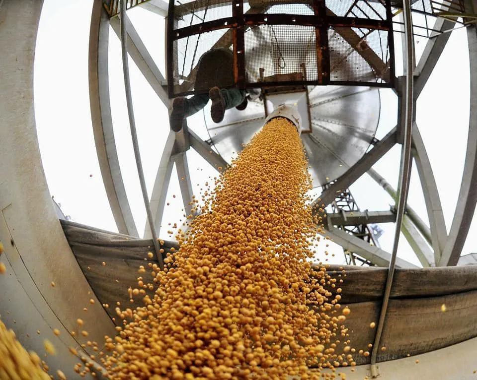 Los Perez Companc sellan una alianza en alimentos vegetales por u$s 100 millones