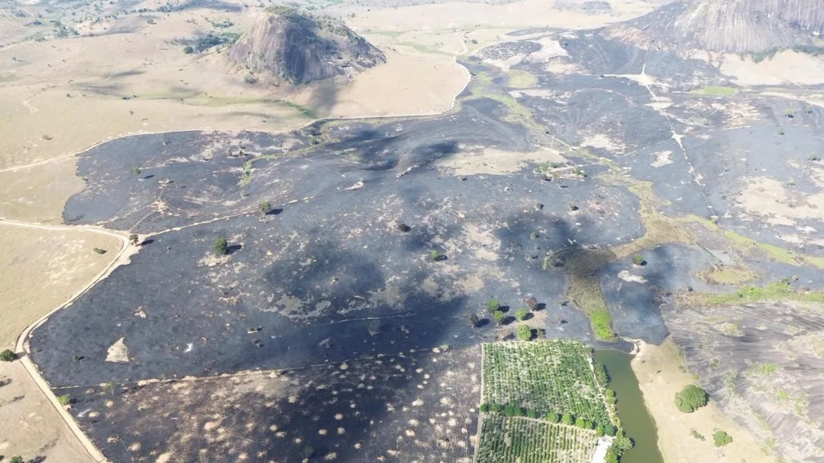 Incêndio destrói área de 280 hectares em Ponto Belo no ES