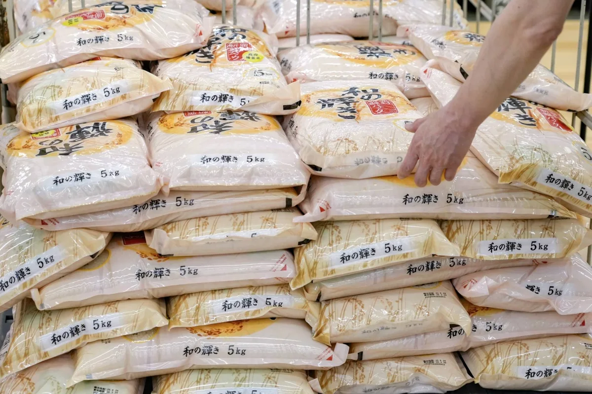 Rice prices fall below ¥3000 for first time in two years