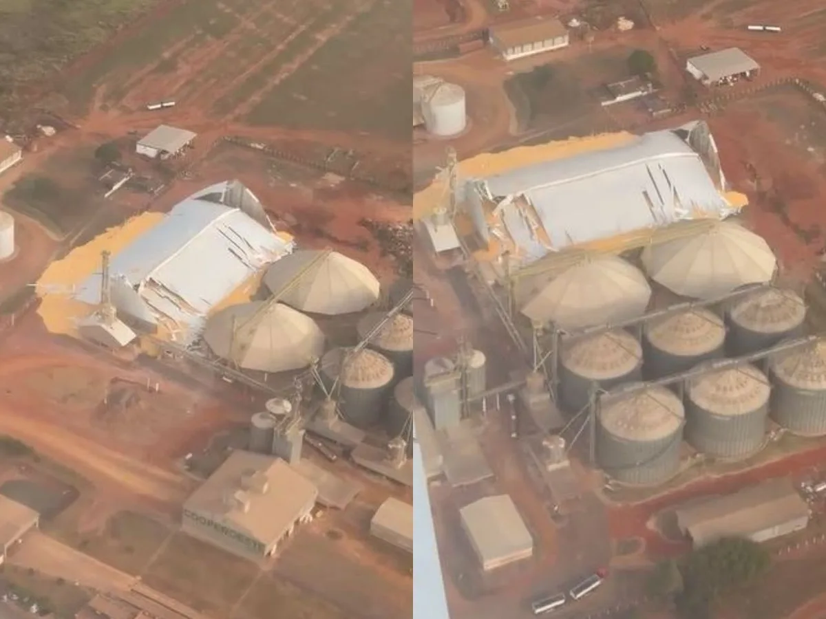 Armazém de cooperativa desaba e espalha toneladas de milho em São Gabriel do Oeste