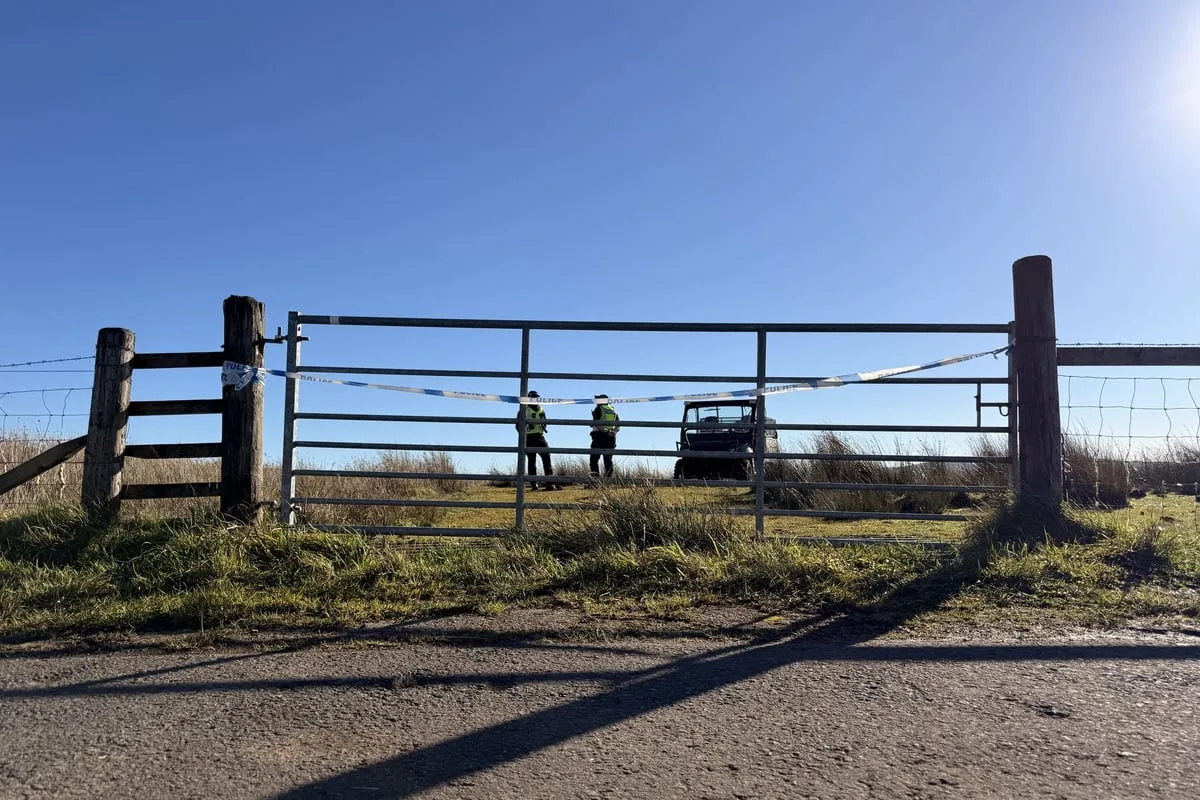 Boy aged 16 and 80-year-old man killed in light aircraft crash