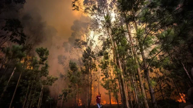Fogo mobiliza mais de 300 operacionais e 12 meios aéreos em Coimbra