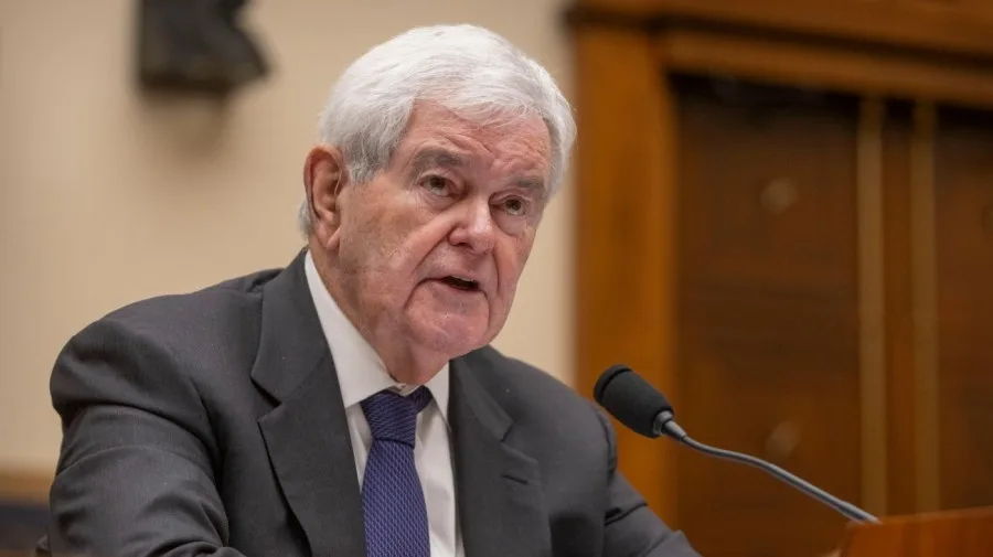 Gingrich: Midterms offer choice between 'big government socialism and weird values' or Republicans