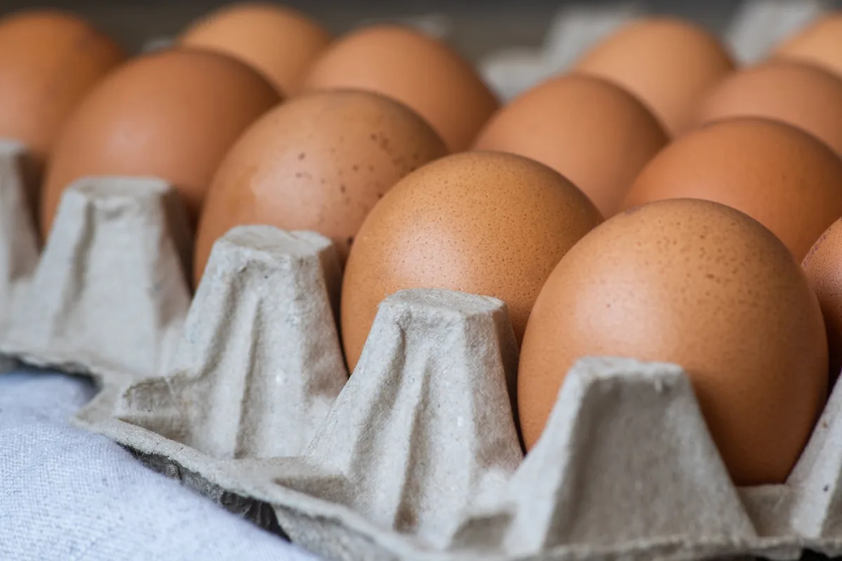 Nueva York distribuirá casi cinco millones de huevos gratis: quiénes los recibirán y por qué