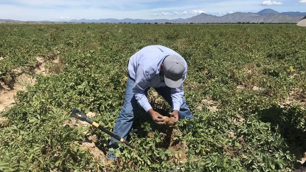 Francesc, agricultor en un pueblo de España: "Me estoy cargando mis suelos y la biodiversidad de mi finca"