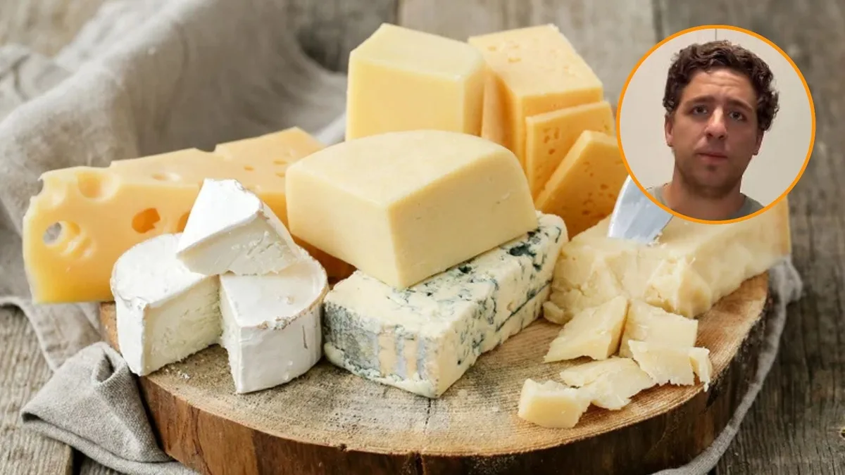 Diferencias entre el queso de oveja, vaca y cabra: “Tú estómago lo sabe”