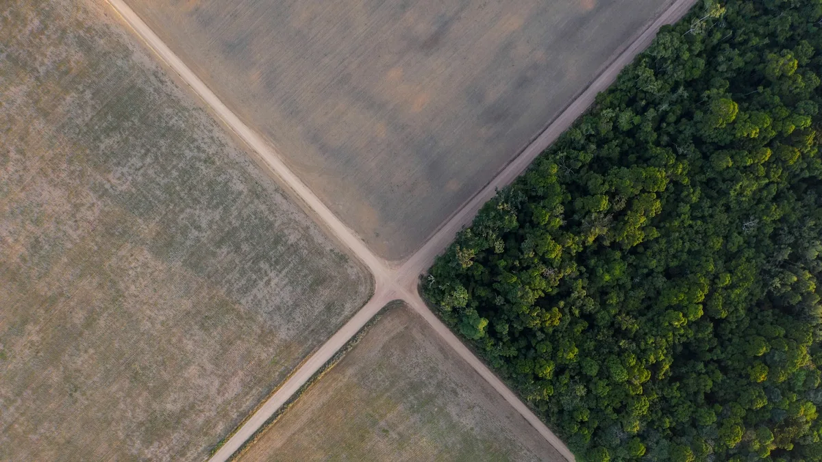 Brazil Supreme Court upholds laws that led to downfall of Amazon soy moratorium
