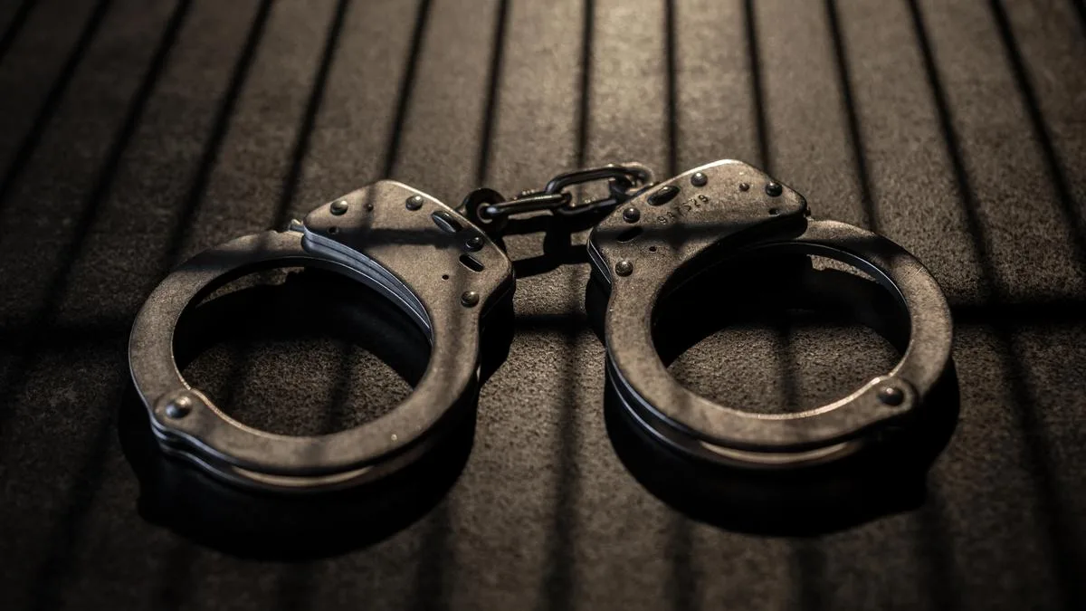 Alleged assault of Sanskrit university V-C: four SFI activists remanded
