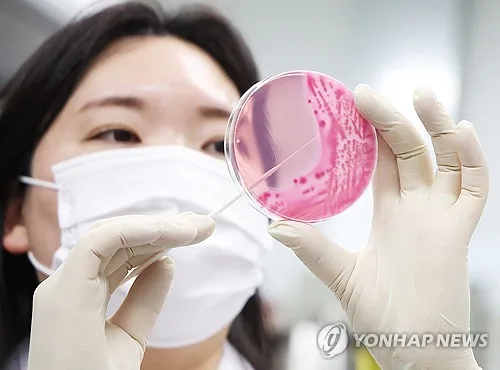 대구 종합병원 김밥집 이용객 70여명 식중독 증세…역학 조사