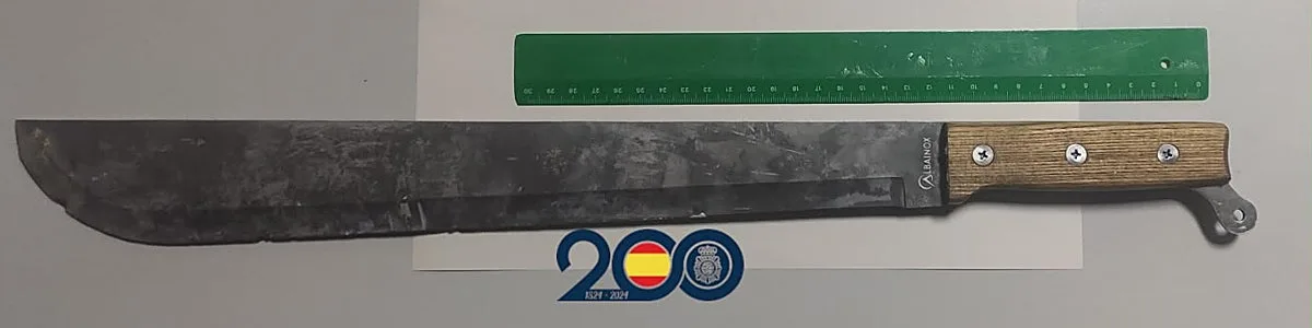 Tres jóvenes detenidos en Valladolid tras cometer un robo en el que amenazaron a la víctima con un machete