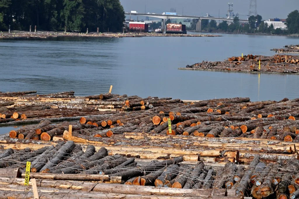 News Wrap: Trump pauses his 50% tariffs on Canadian imports