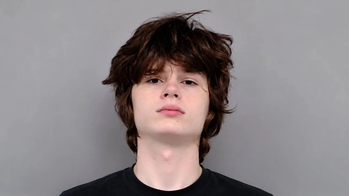 Trans teen accused of Hindu temple attack plot to receive hormone shots in jail
