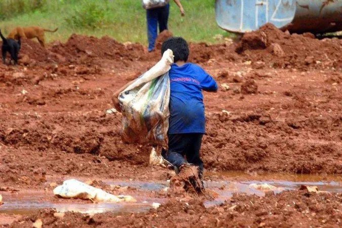 Governo registra queda de até 41,8% no desmatamento da Amazônia e do Cerrado