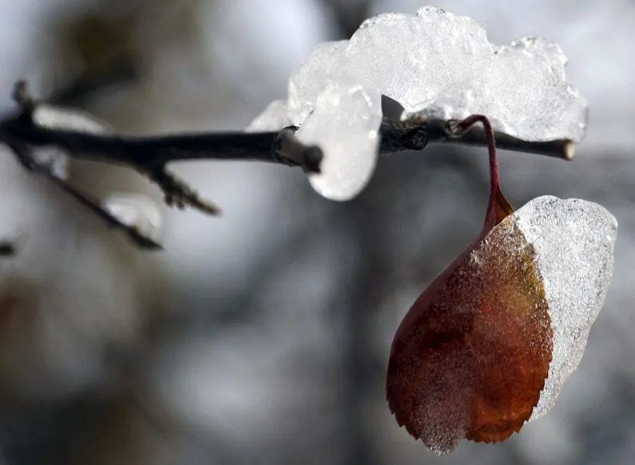 Early winter weather predictions released by NOAA