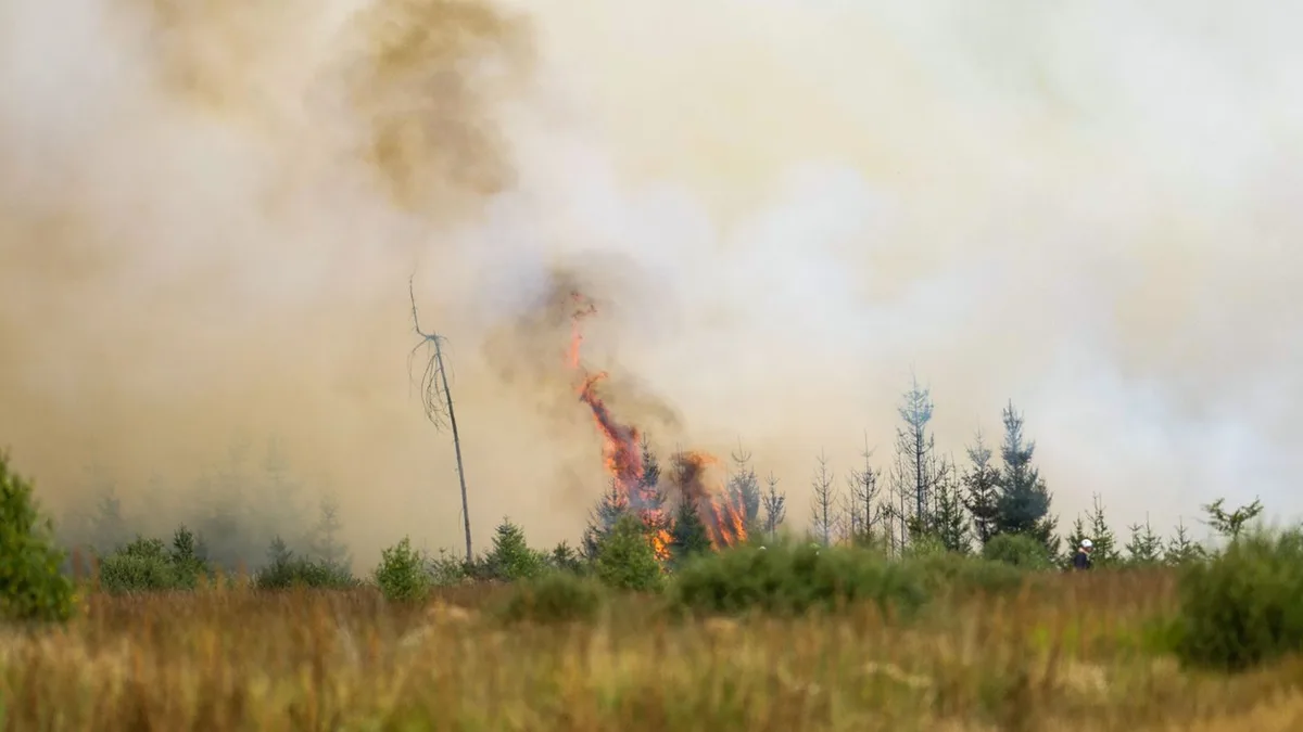 Folgen der großen Waldbrände: Brandgeruch von Waldbränden zieht bis nach Baden-Württemberg