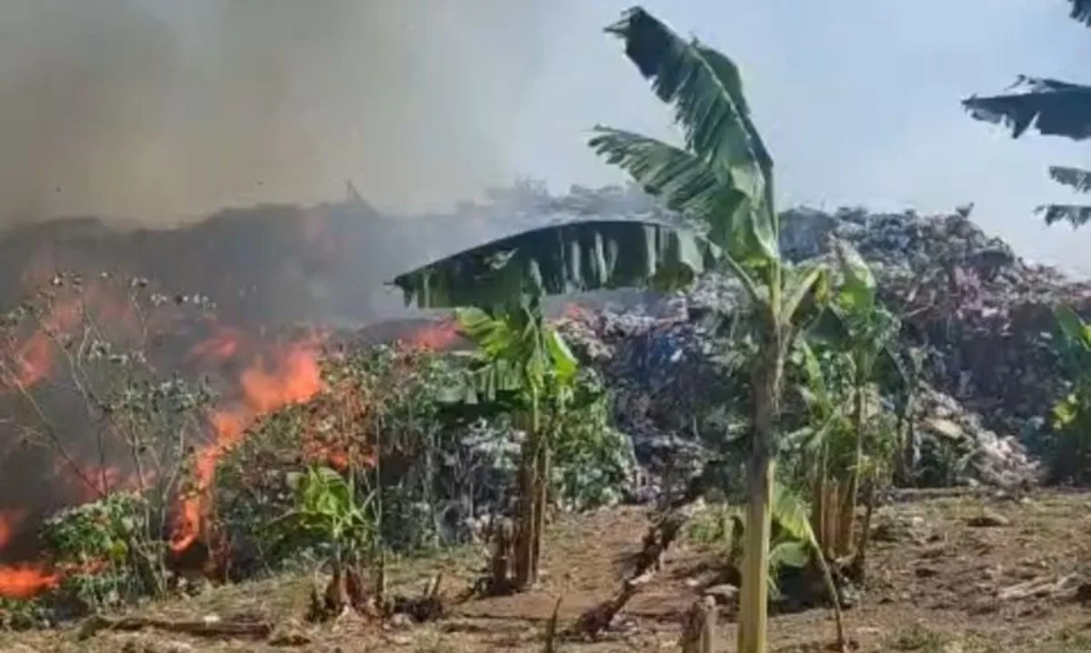 Incêndio em lixão de Manacapuru atinge plantação de bananas e assusta moradores; VÍDEO