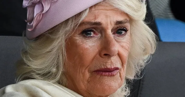 Camilla desabava sobre diagnóstico de cancro de Carlos III
