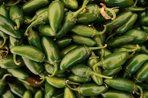 Cofepris descarta salmonella en chiles jalapeños de Nuevo León; mantienen vigilancia permanente