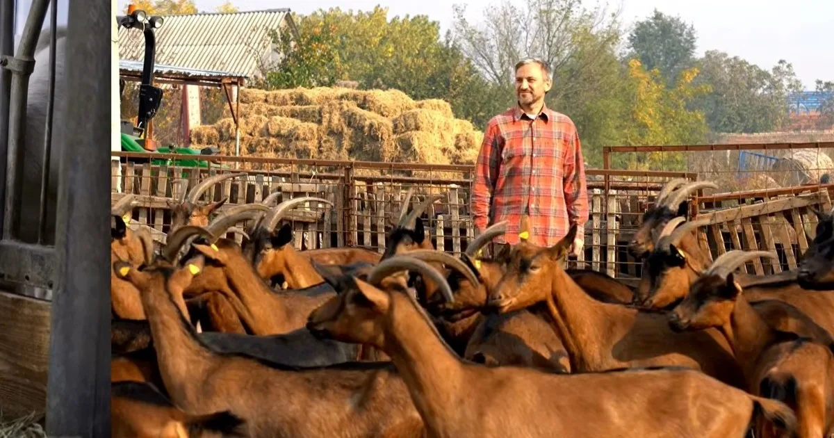 Lo echaron de su trabajo a los 42 años y volvió a la granja de su abuelo: empezó con 8 cabras y hoy tiene 110