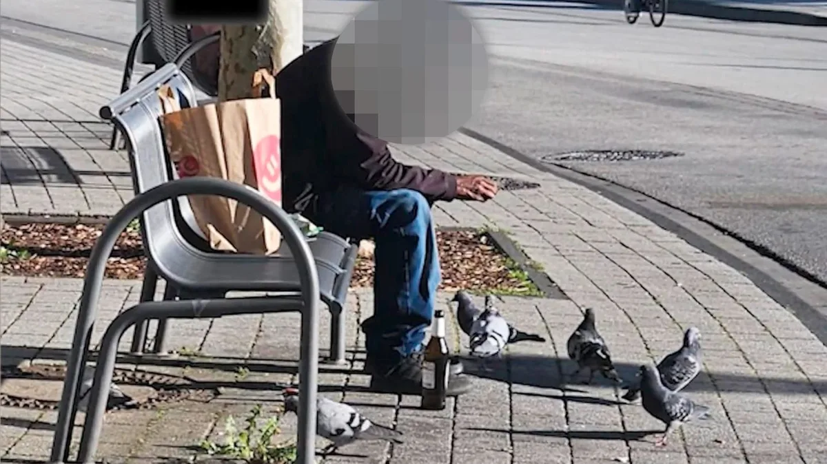 In Rucksack gestopft: Tierschützer ertappen Taubenjäger auf frischer Tat
