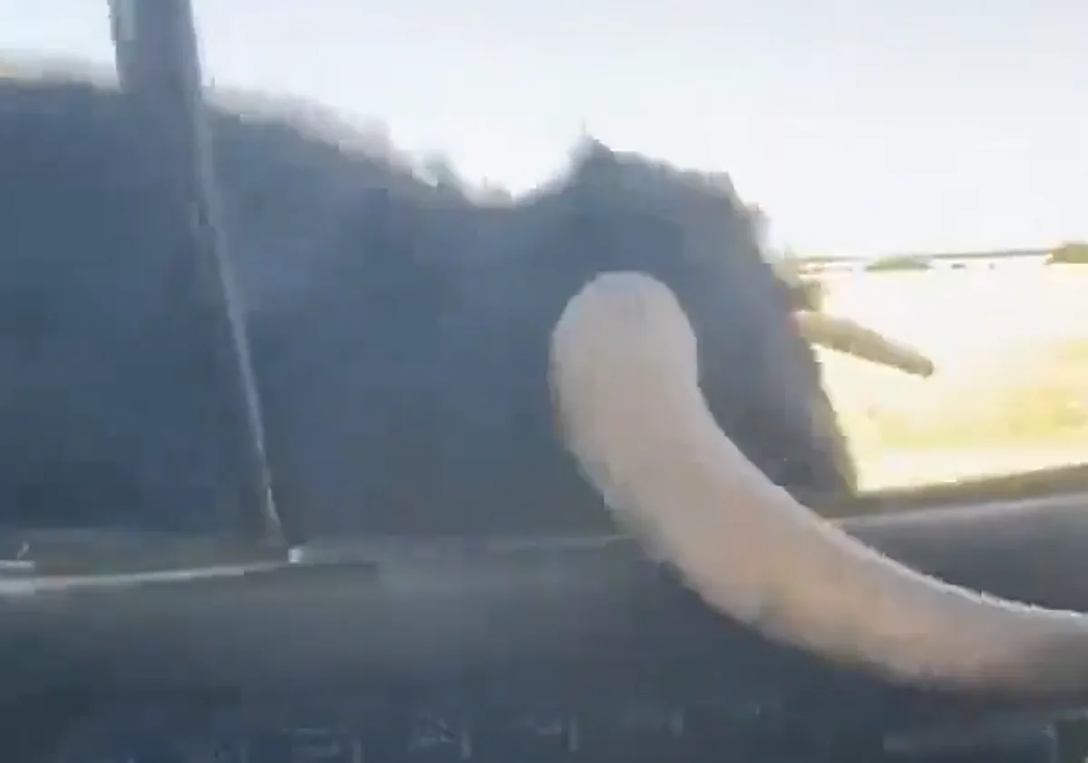 El toro contra la C15