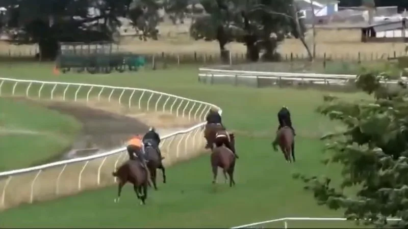 The Everest favourite and his first jumpout in New Zealand in 2022.
