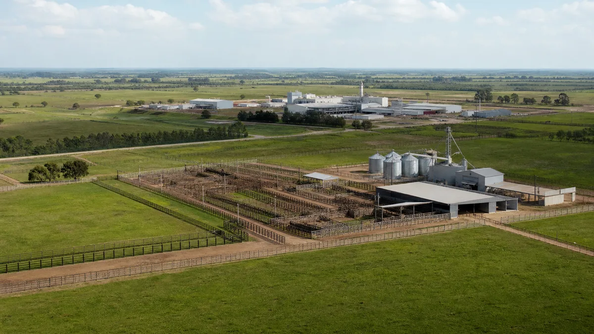USDA lança programa para recompor rebanho bovino nos EUA