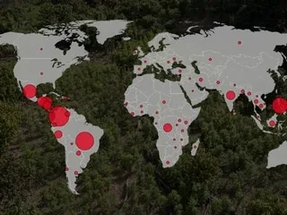 INFOGRAPHIES. Défenseurs de l’environnement : 2 375 tués dans le monde en treize ans, la Colombie en première ligne